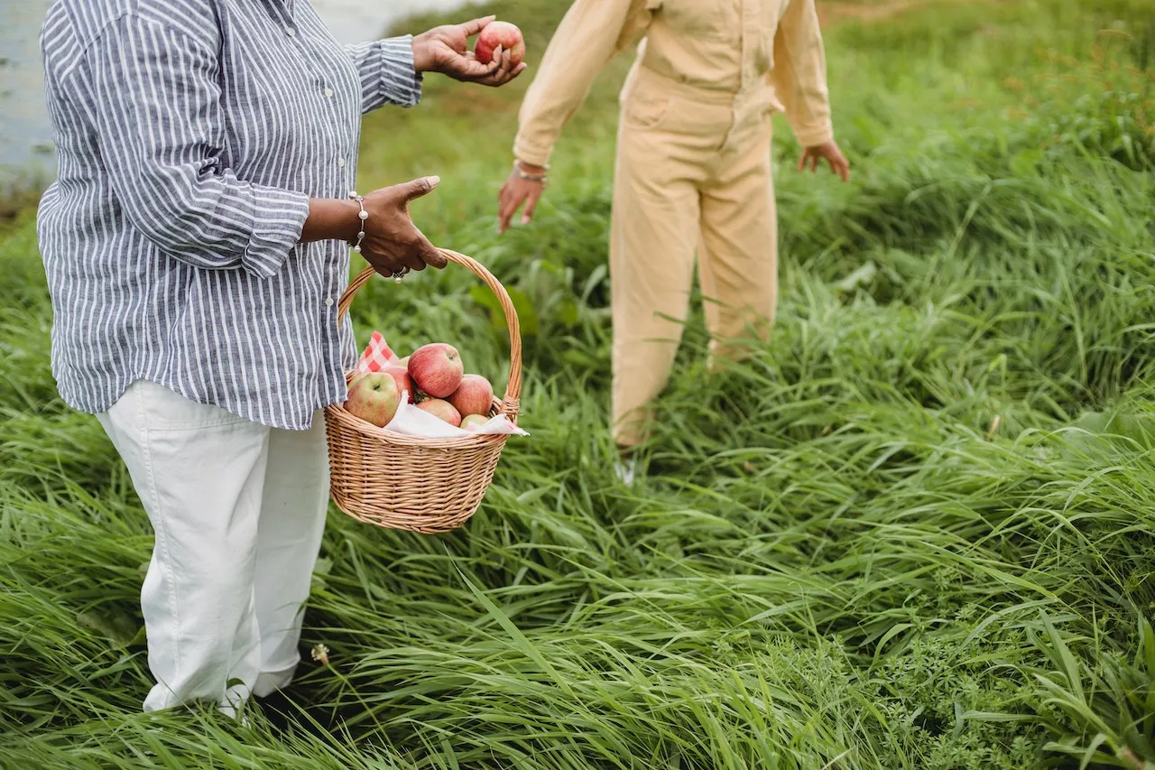 Tensions pour le Recrutement dans le Secteur Agricole en France